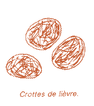 crottes de li�vre