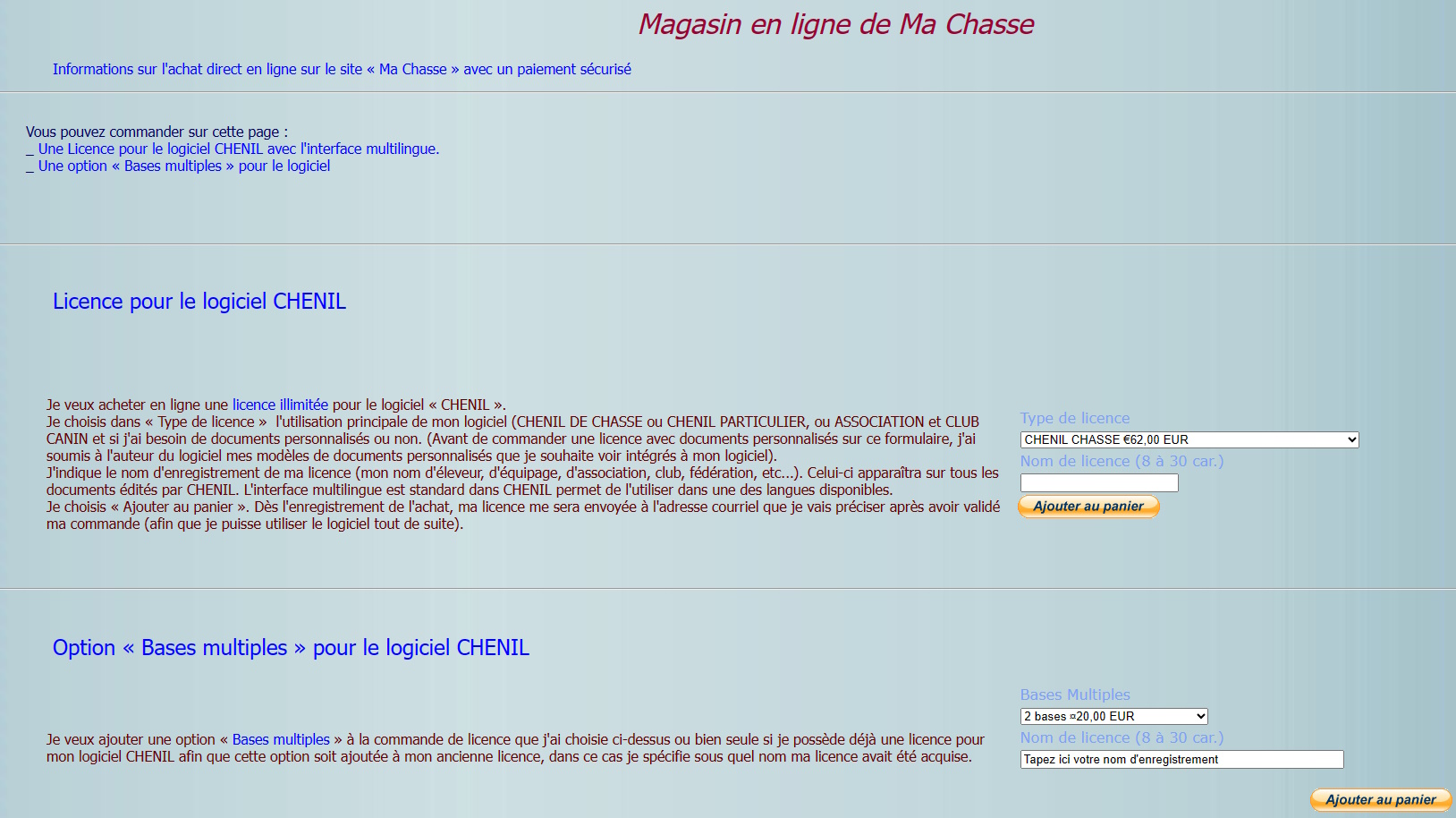 magasin en ligne
