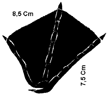 empreinte de Grand labbe