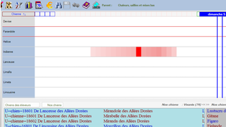 Reproduction : gestion de chaleurs, saillies et mises bas